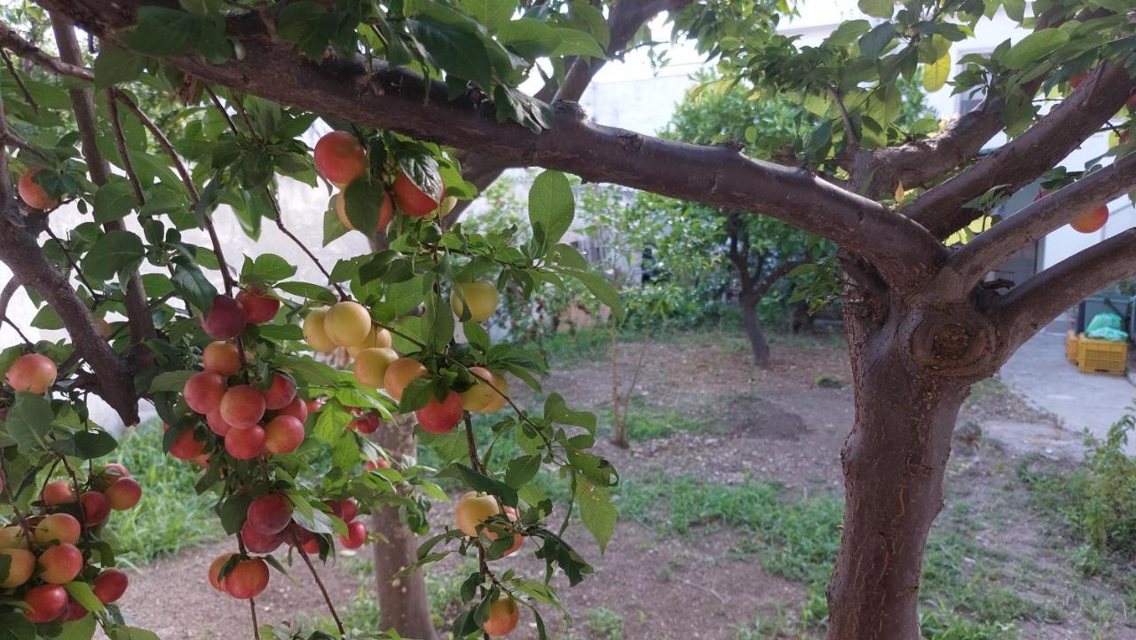Jonia Appartamento Vacanze Vicino Al Mare Con Giardino Pulsano Esterno foto