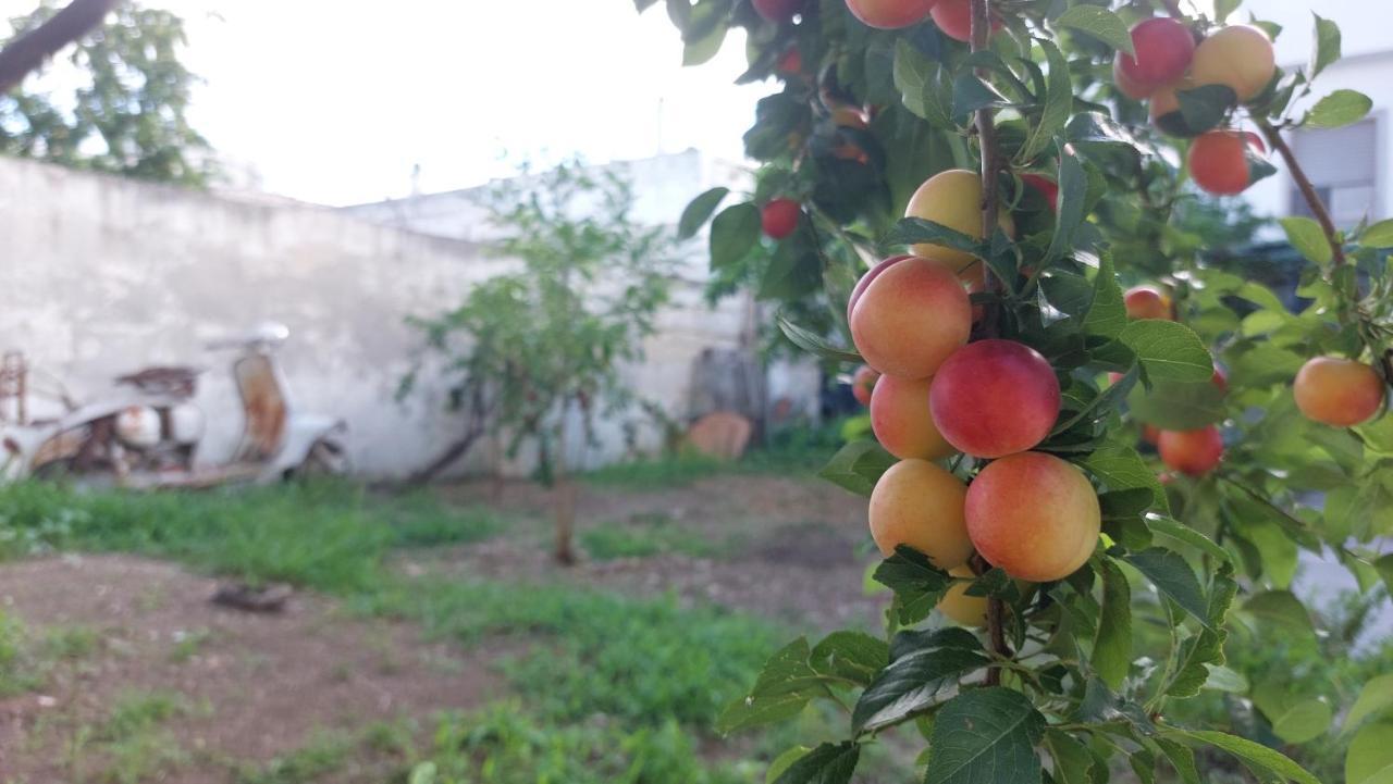 Jonia Appartamento Vacanze Vicino Al Mare Con Giardino Pulsano Esterno foto