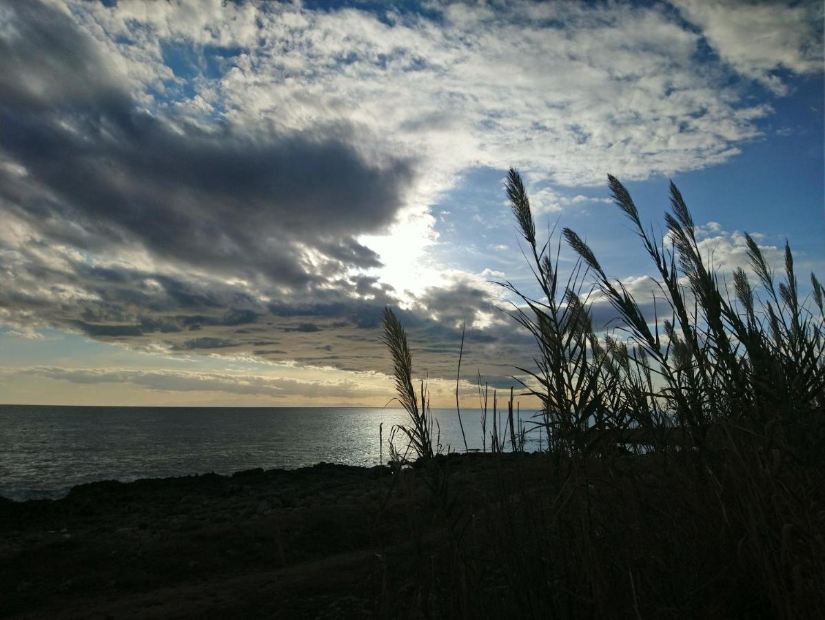 Jonia Appartamento Vacanze Vicino Al Mare Con Giardino Pulsano Esterno foto