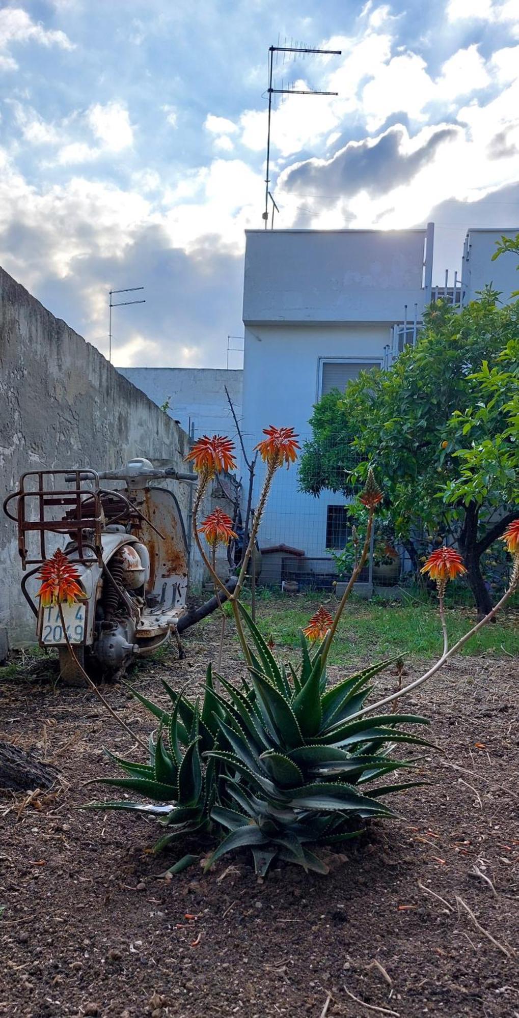 Jonia Appartamento Vacanze Vicino Al Mare Con Giardino Pulsano Esterno foto